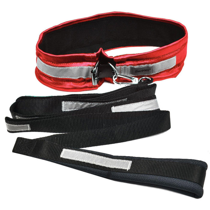 Dog Neck Guard - Benkensports